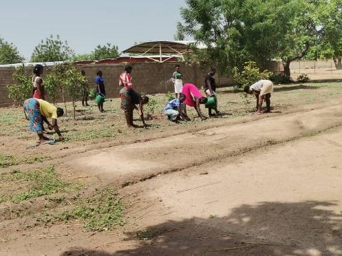 Keoogo: Progress by Young Mothers in Market Gardening and Poultry Farming in Burkina Faso.