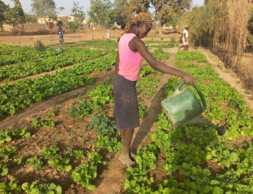 Keoogo: Progress of Young Mothers Since Leaving the Beoogo Tienbo Village, Ouagadougou, Burkina Faso